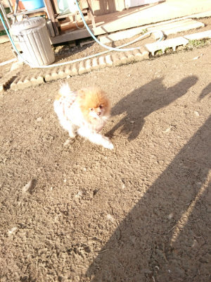 f:id:roukenhome-ann:20190120083718j:plain f:id:roukenhome-ann:20190120083718j:plain