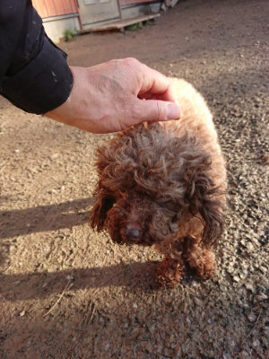 f:id:roukenhome-ann:20190120083733j:plain f:id:roukenhome-ann:20190120083733j:plain