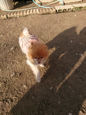 f:id:roukenhome-ann:20190120083738j:plain f:id:roukenhome-ann:20190120083738j:plain