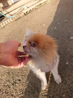 f:id:roukenhome-ann:20190120083744j:plain f:id:roukenhome-ann:20190120083744j:plain