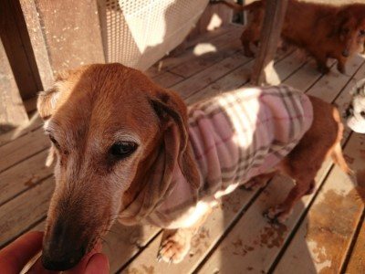 f:id:roukenhome-ann:20190120083750j:plain f:id:roukenhome-ann:20190120083750j:plain