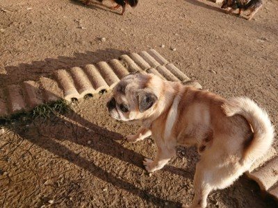 f:id:roukenhome-ann:20190120083754j:plain f:id:roukenhome-ann:20190120083754j:plain