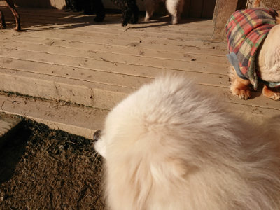 f:id:roukenhome-ann:20190120084209j:plain f:id:roukenhome-ann:20190120084209j:plain