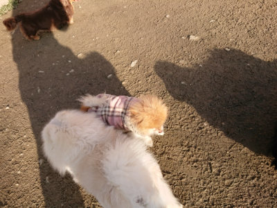 f:id:roukenhome-ann:20190120084214j:plain f:id:roukenhome-ann:20190120084214j:plain