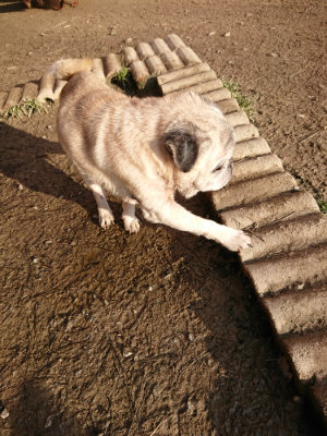 f:id:roukenhome-ann:20190120084307j:plain f:id:roukenhome-ann:20190120084307j:plain