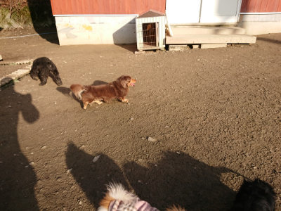 f:id:roukenhome-ann:20190120084314j:plain f:id:roukenhome-ann:20190120084314j:plain