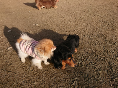 f:id:roukenhome-ann:20190120084320j:plain f:id:roukenhome-ann:20190120084320j:plain