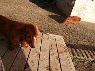 f:id:roukenhome-ann:20190120084328j:plain f:id:roukenhome-ann:20190120084328j:plain