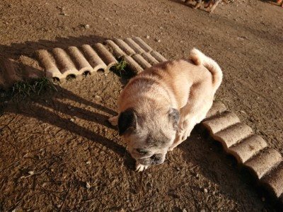 f:id:roukenhome-ann:20190120084356j:plain f:id:roukenhome-ann:20190120084356j:plain