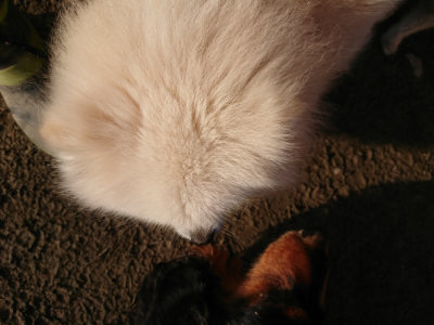 f:id:roukenhome-ann:20190120084413j:plain f:id:roukenhome-ann:20190120084413j:plain