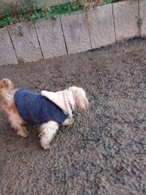 f:id:roukenhome-ann:20190120084427j:plain f:id:roukenhome-ann:20190120084427j:plain