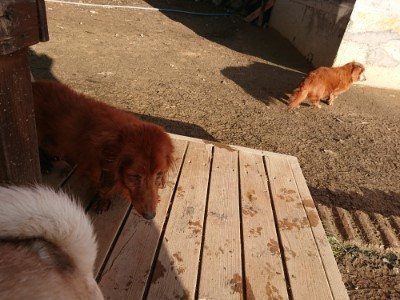 f:id:roukenhome-ann:20190120084529j:plain f:id:roukenhome-ann:20190120084529j:plain