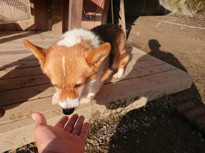 f:id:roukenhome-ann:20190120084534j:plain f:id:roukenhome-ann:20190120084534j:plain