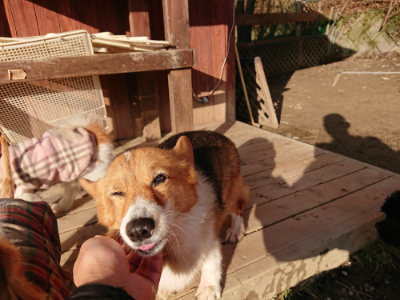 f:id:roukenhome-ann:20190120084544j:plain f:id:roukenhome-ann:20190120084544j:plain