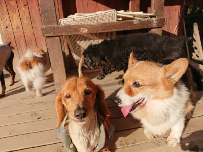 f:id:roukenhome-ann:20190120084549j:plain f:id:roukenhome-ann:20190120084549j:plain