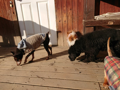 f:id:roukenhome-ann:20190120084554j:plain f:id:roukenhome-ann:20190120084554j:plain