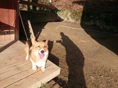 f:id:roukenhome-ann:20190120084559j:plain f:id:roukenhome-ann:20190120084559j:plain