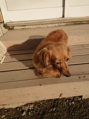 f:id:roukenhome-ann:20190120084613j:plain f:id:roukenhome-ann:20190120084613j:plain