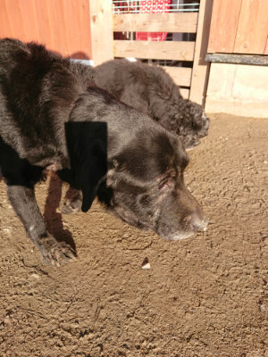 f:id:roukenhome-ann:20190120084619j:plain f:id:roukenhome-ann:20190120084619j:plain