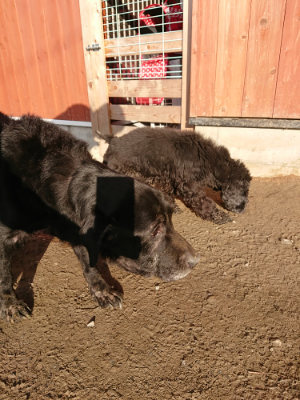 f:id:roukenhome-ann:20190120084625j:plain f:id:roukenhome-ann:20190120084625j:plain