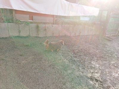 f:id:roukenhome-ann:20190120084630j:plain f:id:roukenhome-ann:20190120084630j:plain