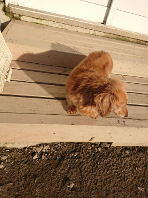 f:id:roukenhome-ann:20190120084634j:plain f:id:roukenhome-ann:20190120084634j:plain