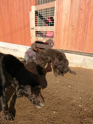 f:id:roukenhome-ann:20190120084639j:plain f:id:roukenhome-ann:20190120084639j:plain