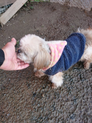 f:id:roukenhome-ann:20190120084644j:plain f:id:roukenhome-ann:20190120084644j:plain