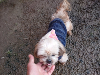 f:id:roukenhome-ann:20190120084649j:plain f:id:roukenhome-ann:20190120084649j:plain