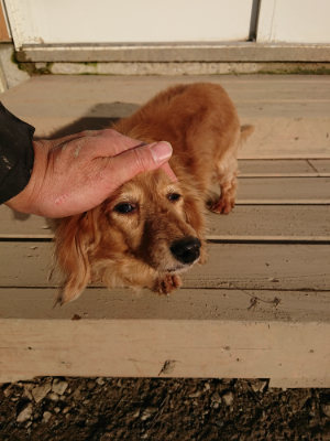 f:id:roukenhome-ann:20190120084654j:plain f:id:roukenhome-ann:20190120084654j:plain