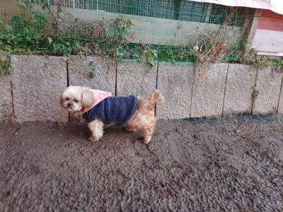 f:id:roukenhome-ann:20190120084658j:plain f:id:roukenhome-ann:20190120084658j:plain