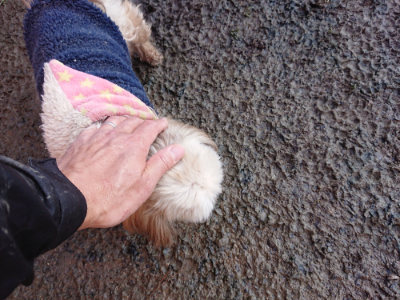 f:id:roukenhome-ann:20190120084710j:plain f:id:roukenhome-ann:20190120084710j:plain