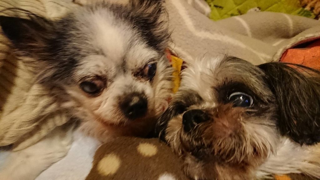f:id:roukenhome-ann:20190121053131j:plain