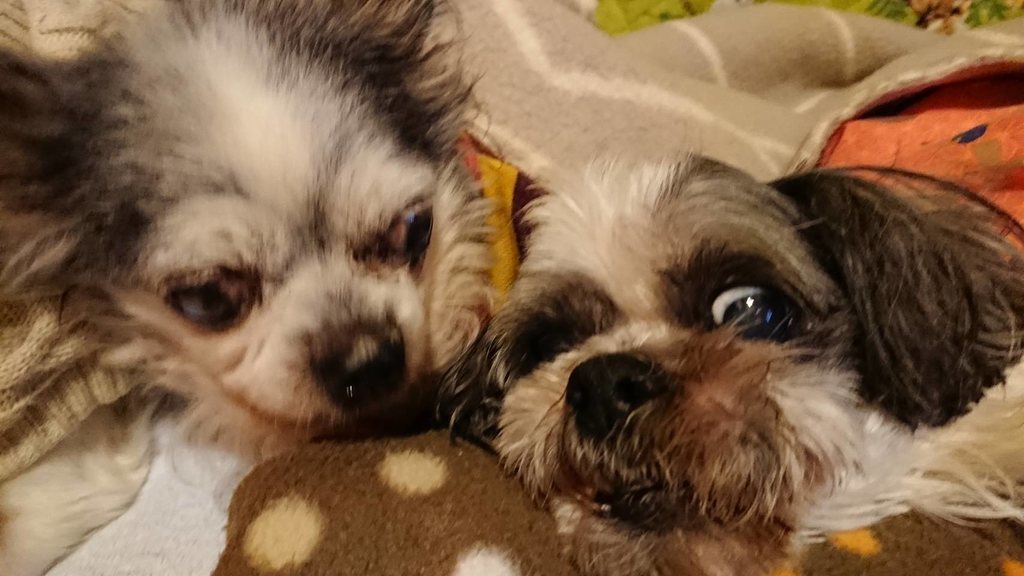 f:id:roukenhome-ann:20190121053137j:plain