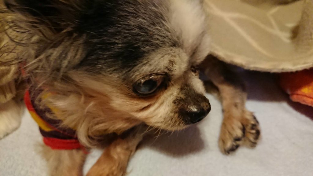 f:id:roukenhome-ann:20190121053247j:plain