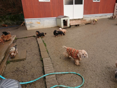 f:id:roukenhome-ann:20190121053523j:plain