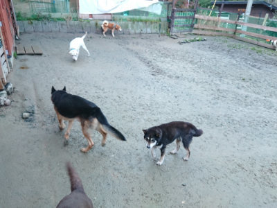 f:id:roukenhome-ann:20190121071949j:plain