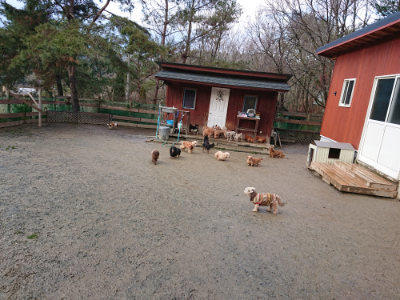 f:id:roukenhome-ann:20190121072015j:plain