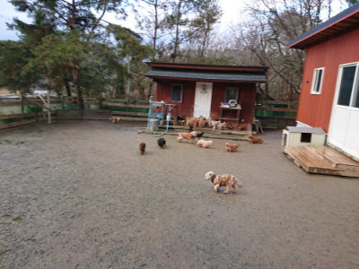 f:id:roukenhome-ann:20190121072031j:plain