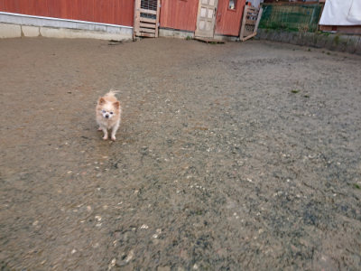 f:id:roukenhome-ann:20190121072337j:plain