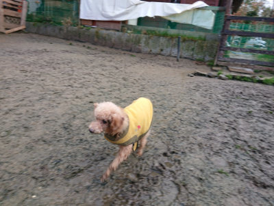 f:id:roukenhome-ann:20190121072405j:plain