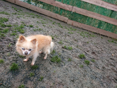 f:id:roukenhome-ann:20190121072416j:plain