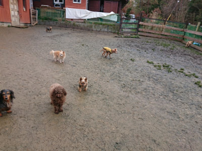 f:id:roukenhome-ann:20190121072449j:plain