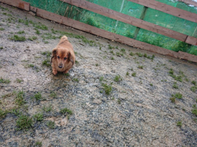 f:id:roukenhome-ann:20190121072531j:plain