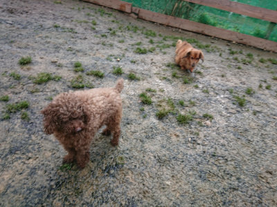f:id:roukenhome-ann:20190121072546j:plain