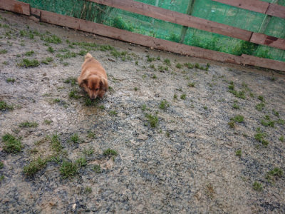 f:id:roukenhome-ann:20190121072552j:plain