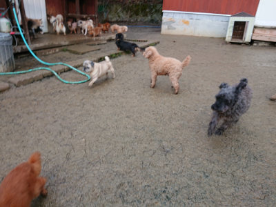 f:id:roukenhome-ann:20190121072623j:plain