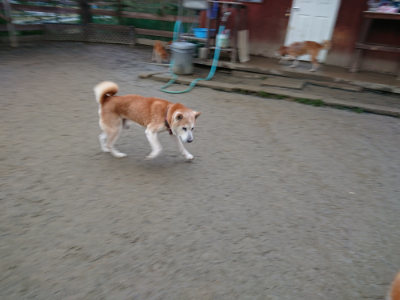 f:id:roukenhome-ann:20190121072655j:plain