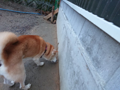 f:id:roukenhome-ann:20190121073140j:plain