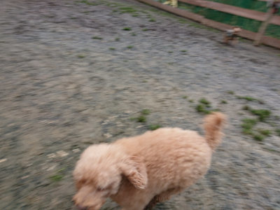 f:id:roukenhome-ann:20190121073147j:plain